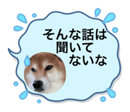 738499045