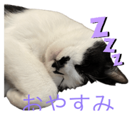738503057