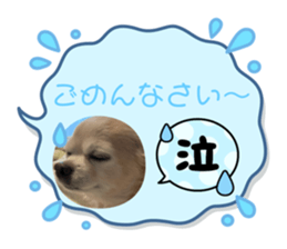 738507254