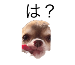 738522536