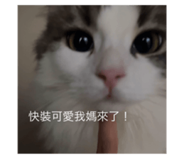 738539422