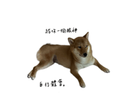 738549058