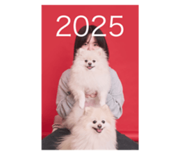 738578327