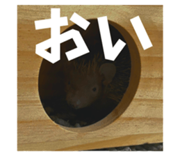 738593078