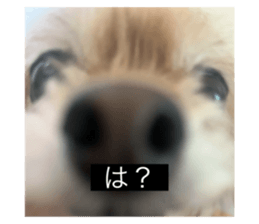 738607345
