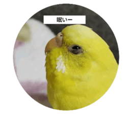 738613827