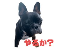 738664738