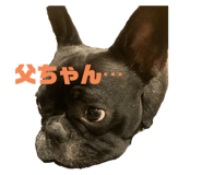 738664739