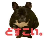 738664741