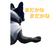 738664743