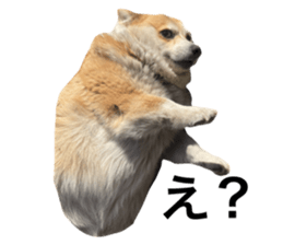 738665707