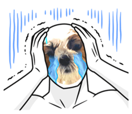 738700828