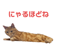738701244