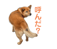 738701246