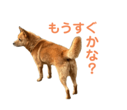738701247