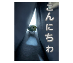 738702840