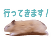 738702981