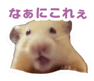 738702995
