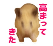 738702998