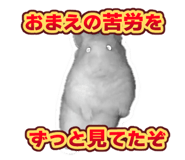 738703005