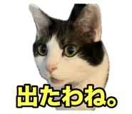 738726801