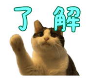 738726802