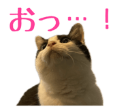 738726803