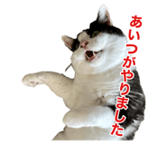 738726814