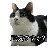 738726822