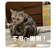 738733088