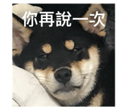 738754640