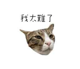 738758979