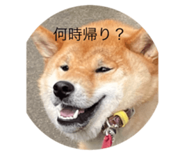 738771553