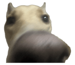 738776292