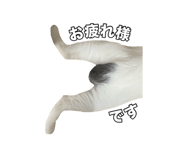 738783093