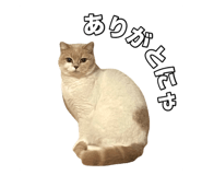 738783094