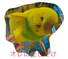 738788797
