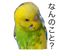 738788798