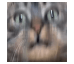 738794429