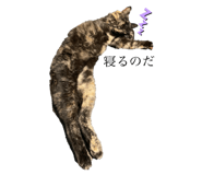 738803011