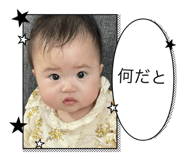 738813573