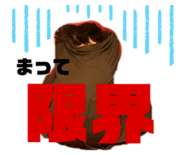 738818005