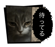 738841618