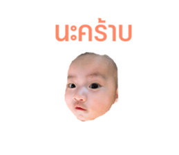 73886034