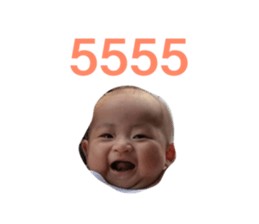 73886037
