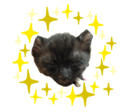 738868708