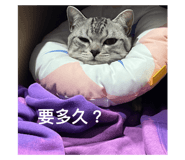 738875187