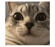 738875189