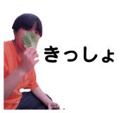 738881331