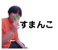 738881333